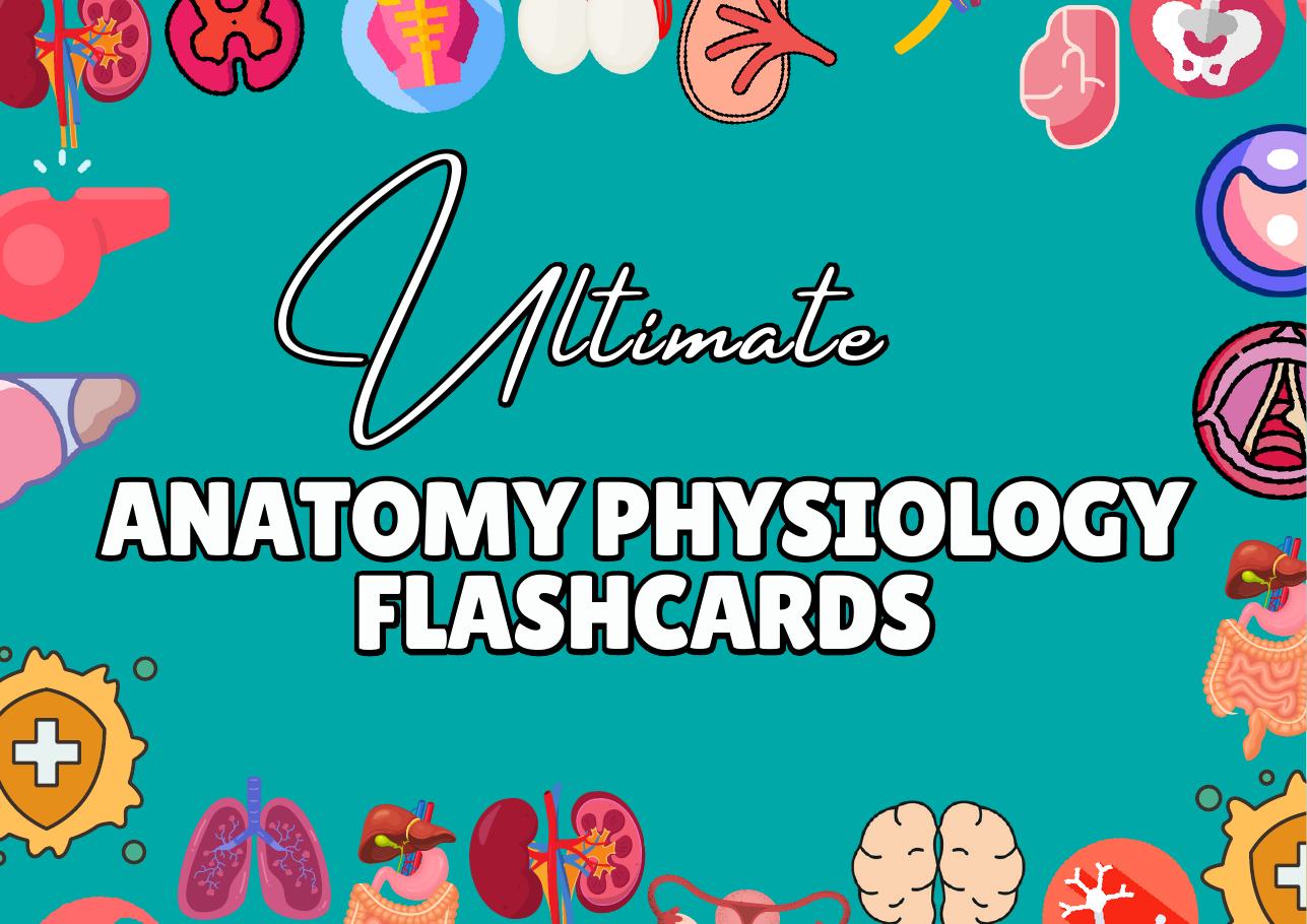 Anatomy Flashcards
